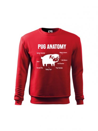 Czerwona bluza dziecięca z białym nadrukiem Pug Anatomy. Bluza wkładana, bez kaptura.