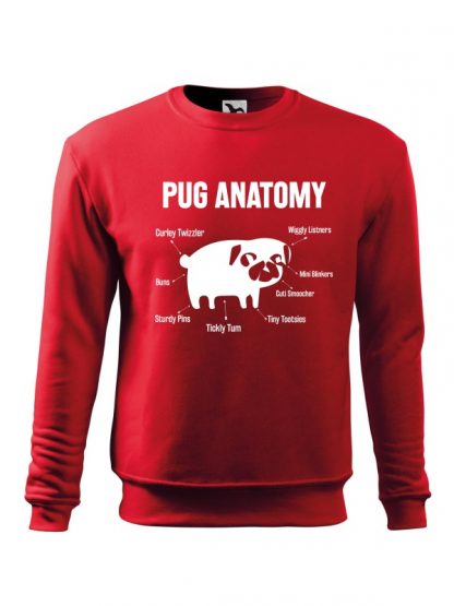 Czerwona bluza męska z białym nadrukiem Pug Anatomy. Bluza wkładana, bez kaptura.